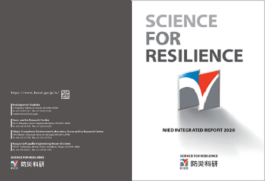 入力してください