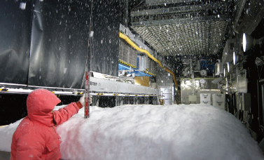 入力してください