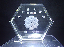楯