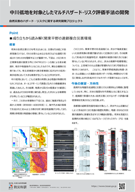 中川低地を対象としたマルチハザード・リスク評価手法の開発