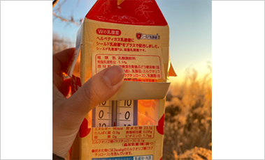 牛乳パックで作った百葉箱の写真