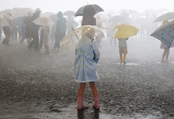 入力してください