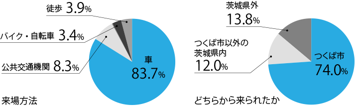 入力してください