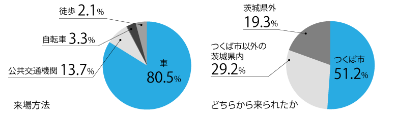 入力してください