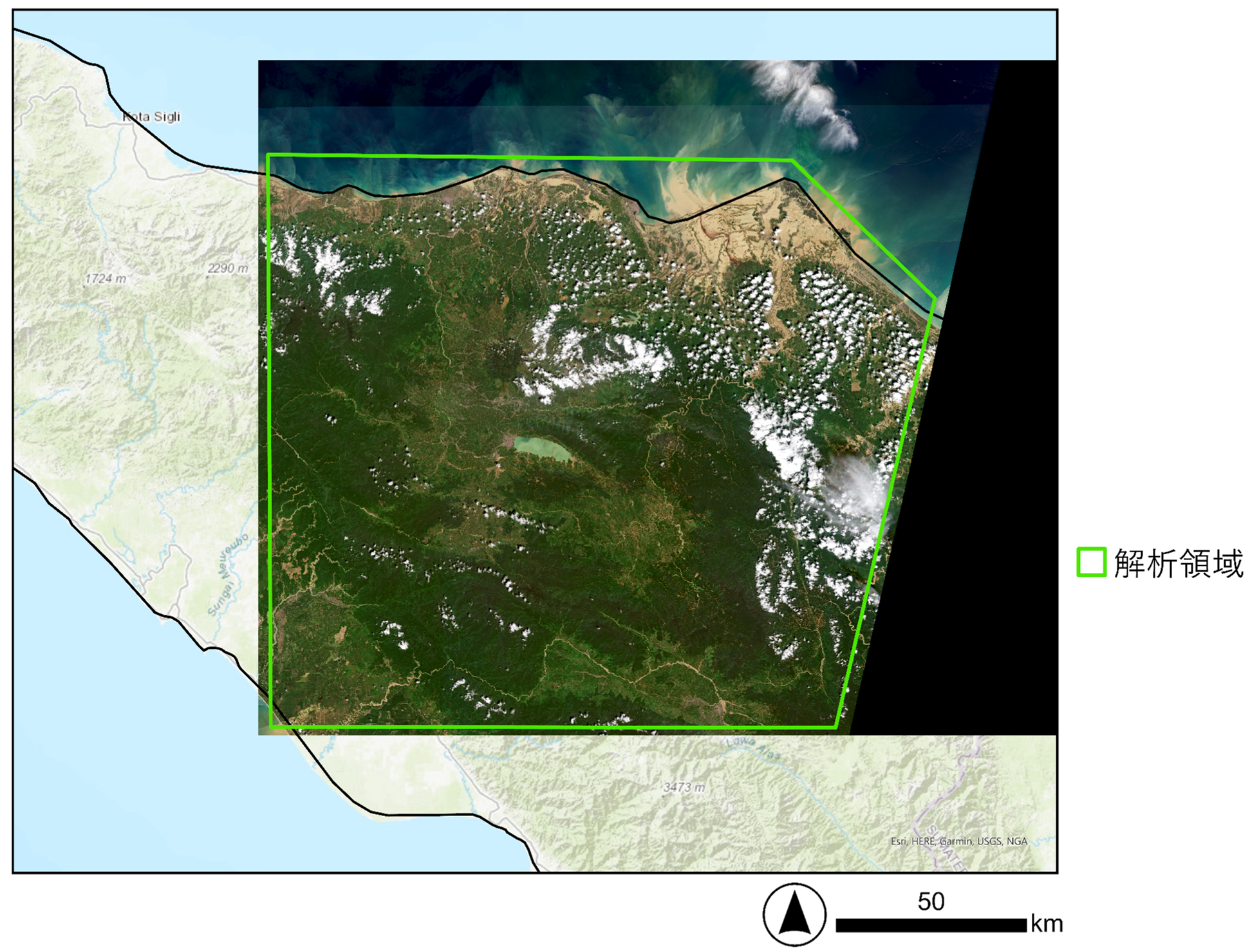 図３：豪雨後：2025年11月29日撮影