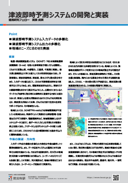 津波即時予測システムの開発と実装