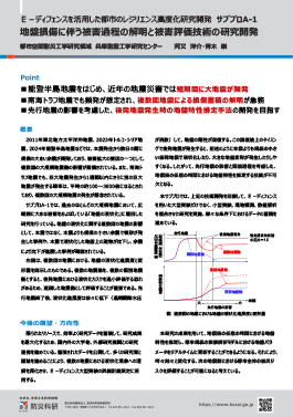 Ｅ－ディフェンスを活用した都市のレジリエンス高度化研究開発　サブプロA-1 地盤損傷に伴う被害過程の解明と被害評価技術の研究開発