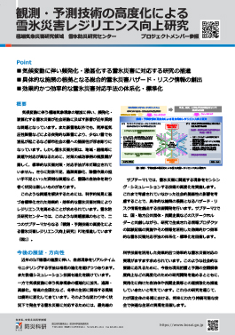 観測・予測技術の高度化による雪氷災害レジリエンス向上研究