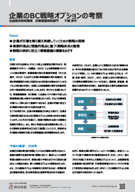 企業のBC戦略オプションの考察